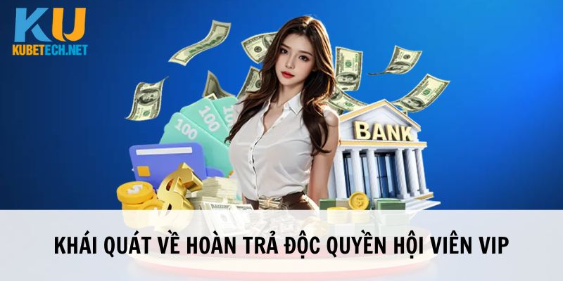 Hoàn trả độc quyền hội viên VIP chất lượng, uy tín